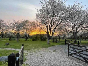 The Orchards at Shottenden - Everglade
